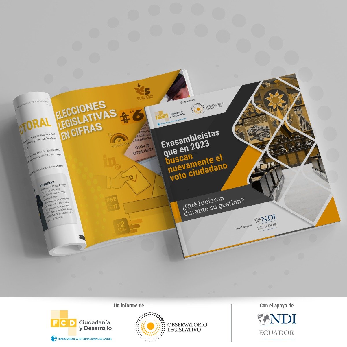 Portada, Informe Exlegisladores candidatos